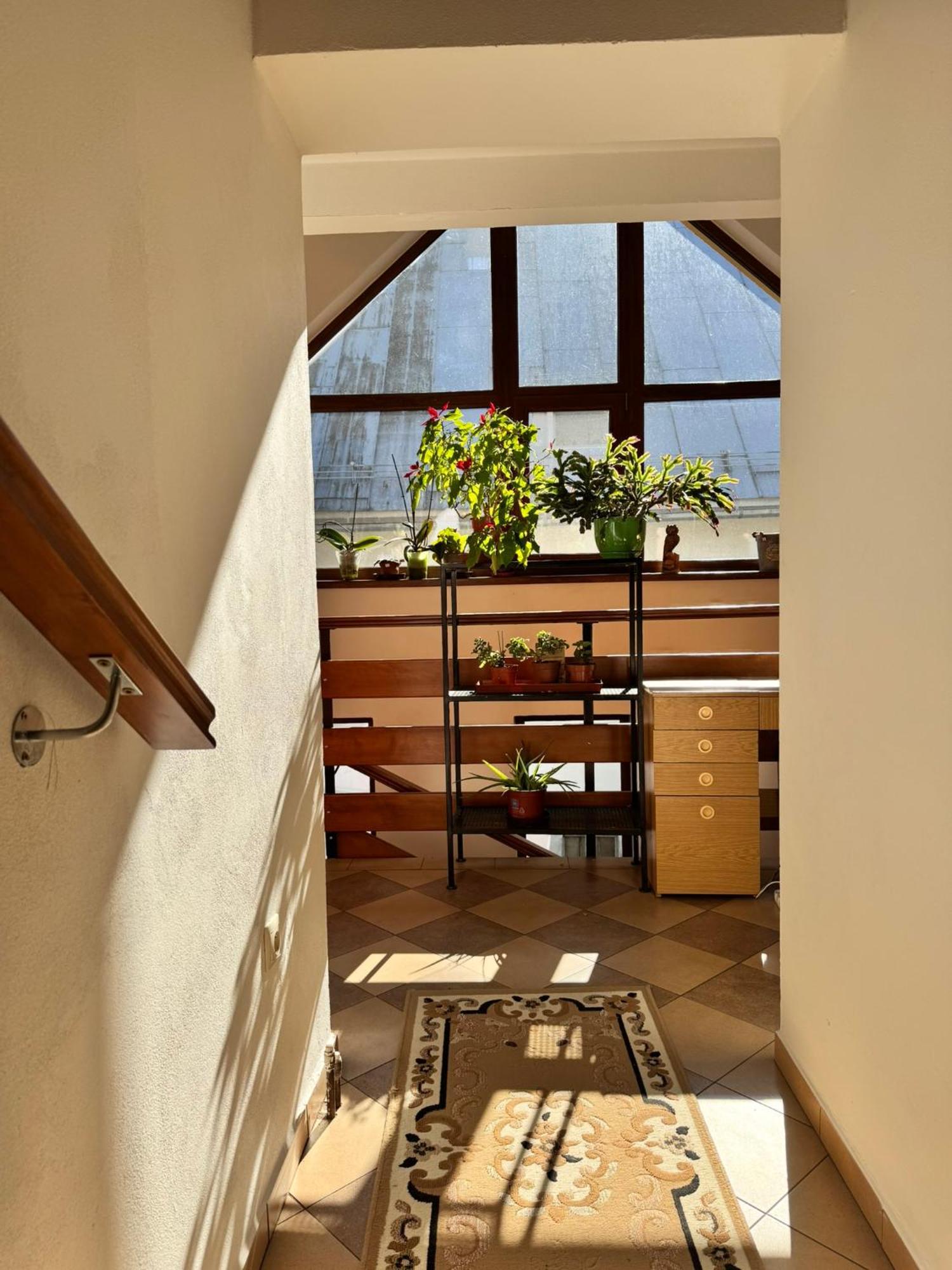 Apartmany Kenka Спишска-Стара-Вес Экстерьер фото